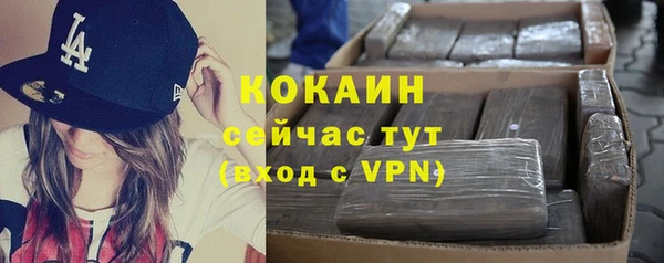 PSILOCYBIN Балабаново