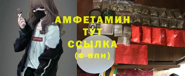 PSILOCYBIN Балабаново