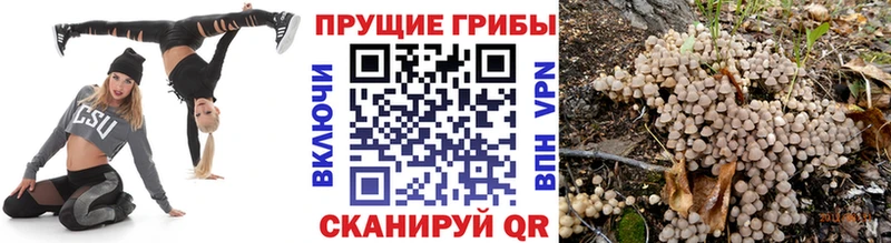 Галлюциногенные грибы Cubensis  blacksprut зеркало  Углич 